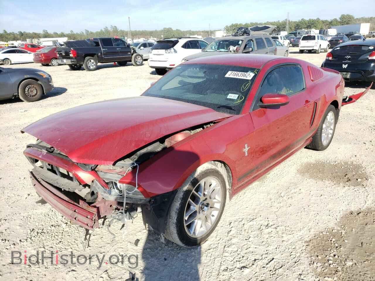 2013 FORD MUSTANG - VIN: 1ZVBP8AM7D5209228 - Фото 2