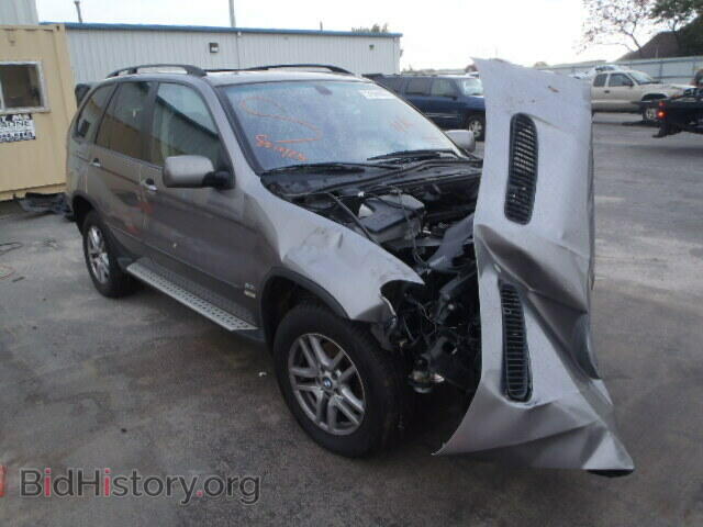 Photo 5UXFA13585LU49385 - BMW X5 2005