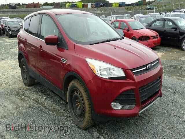 Photo 1FMCU0GX6DUA19103 - FORD ESCAPE 2013