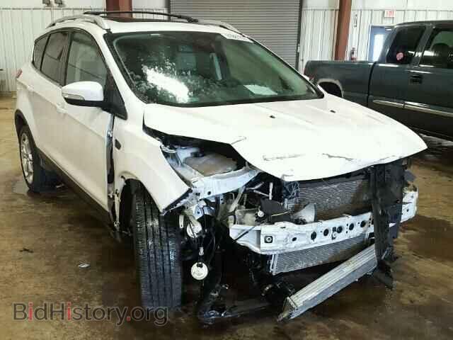 Фотография 1FMCU0J99FUC87981 - FORD ESCAPE 2015