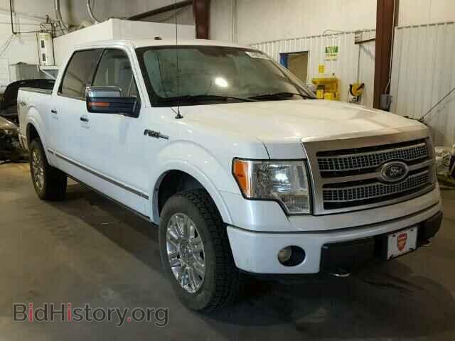 Фотография 1FTFW1EF8BFA40659 - FORD F150 2011