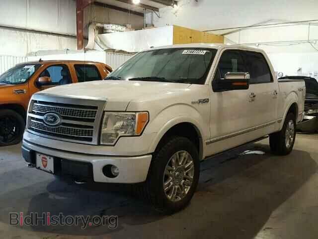 2011 FORD F150 - VIN: 1FTFW1EF8BFA40659 - Фото 2