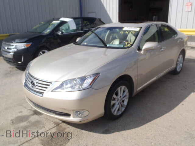 2010 LEXUS ES350 - VIN: JTHBK1EG2A2413685 - Фото 2