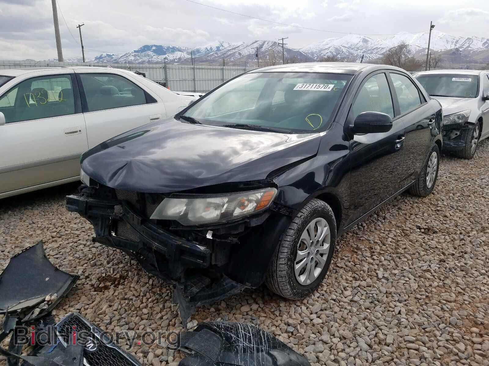 2013 KIA FORTE - VIN: KNAFU4A22D5686702 - Фото 2