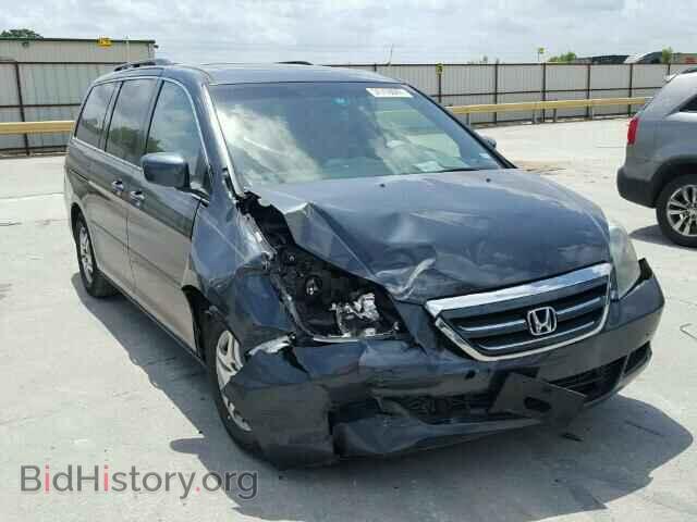 Photo 5FNRL38725B084591 - HONDA ODYSSEY 2005