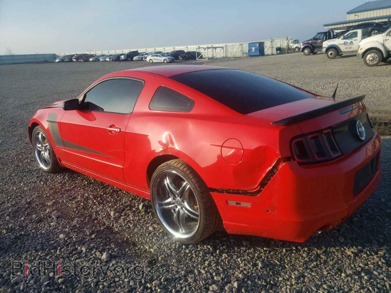 2013 FORD MUSTANG - VIN: 1ZVBP8AM6D5203341 - Фото 3