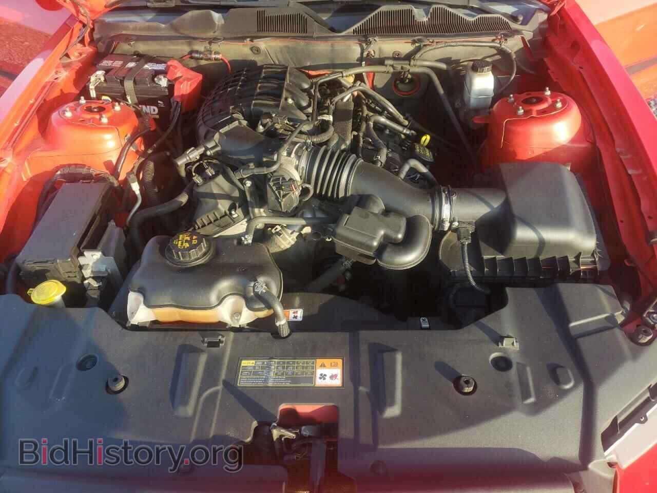 2013 FORD MUSTANG - VIN: 1ZVBP8AM6D5203341 - Фото 7