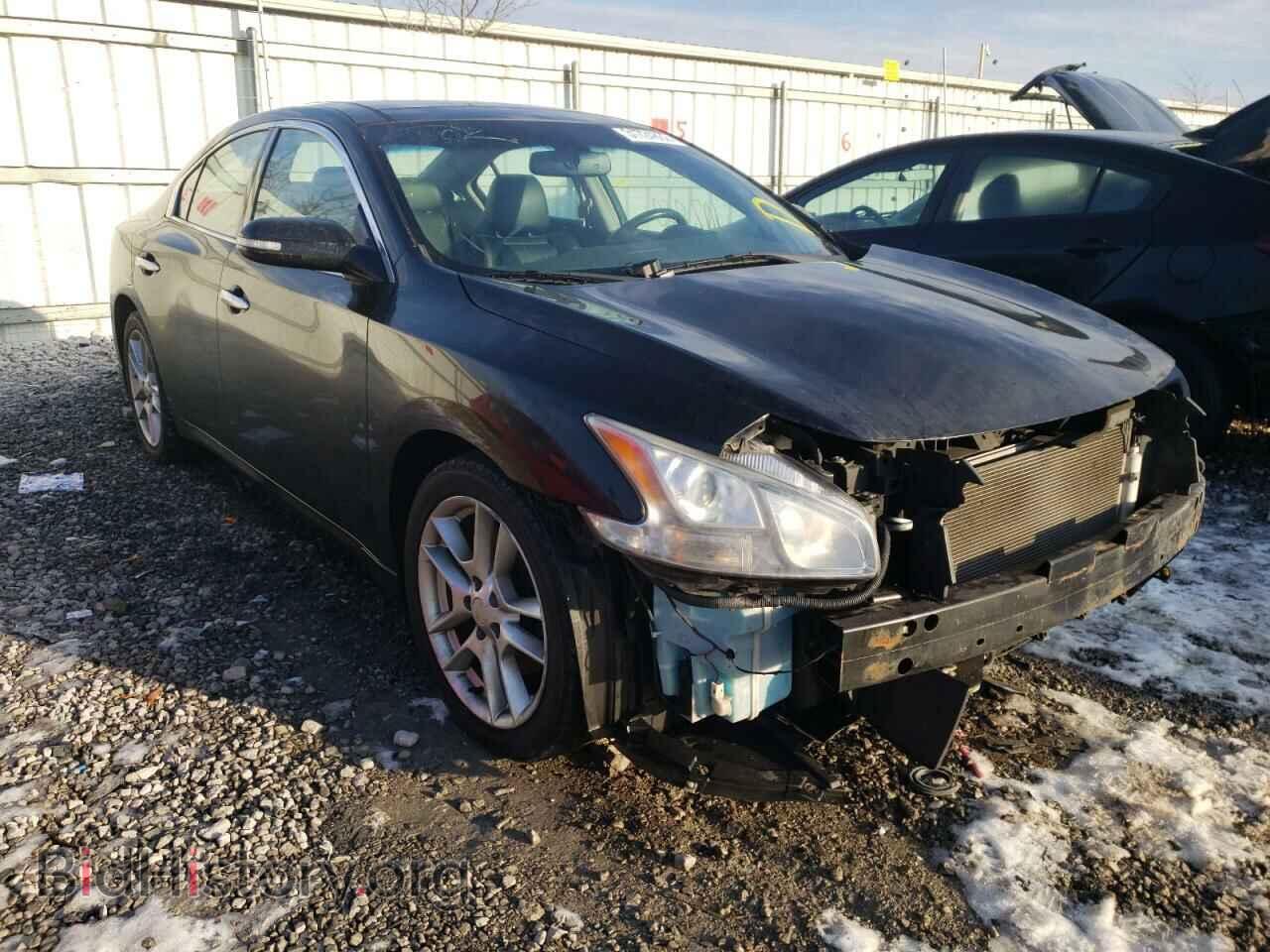 Photo 1N4AA5AP5AC846561 - NISSAN MAXIMA 2010