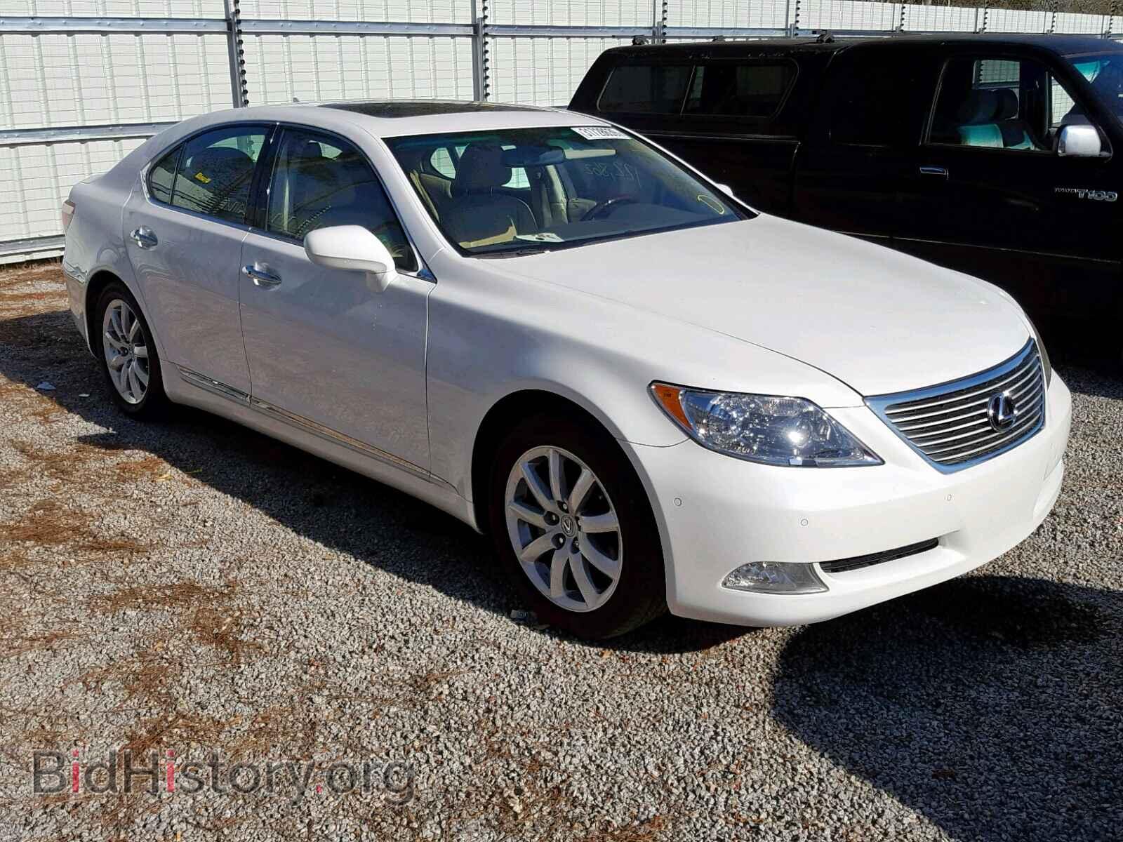 Фотография JTHBL46F585052546 - LEXUS LS460 2008