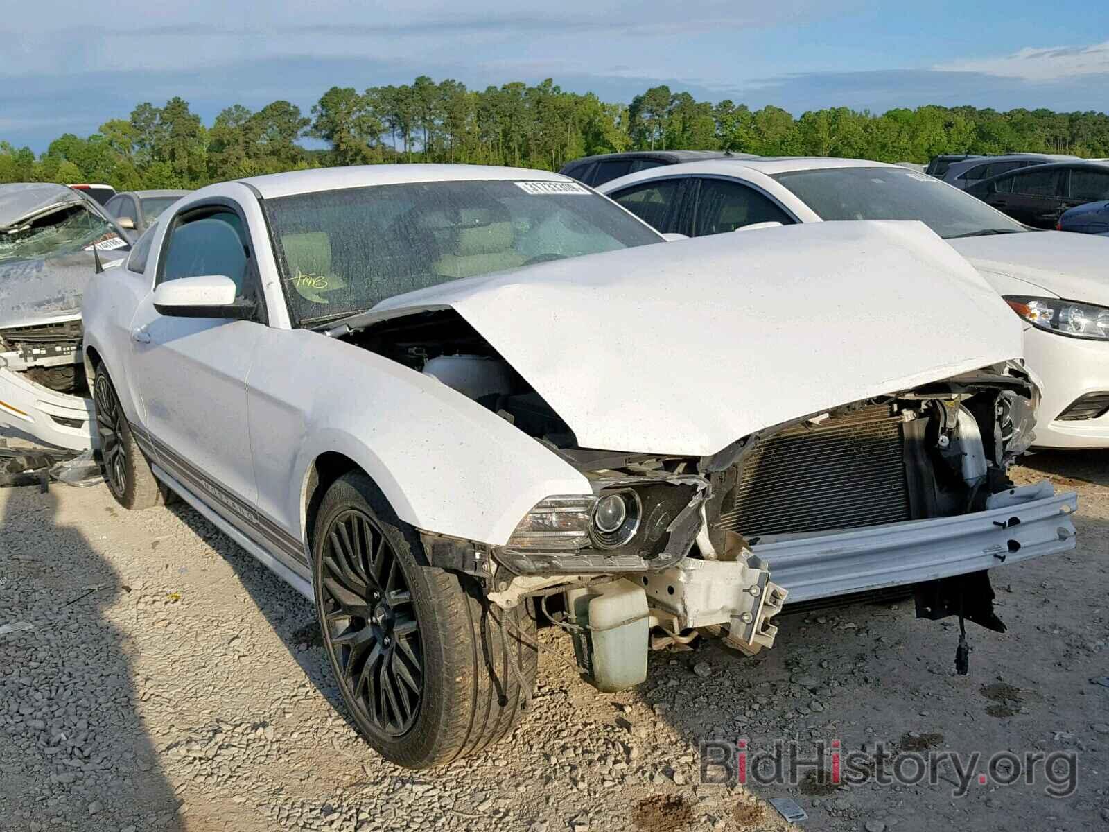 Photo 1ZVBP8AM0E5311682 - FORD MUSTANG 2014
