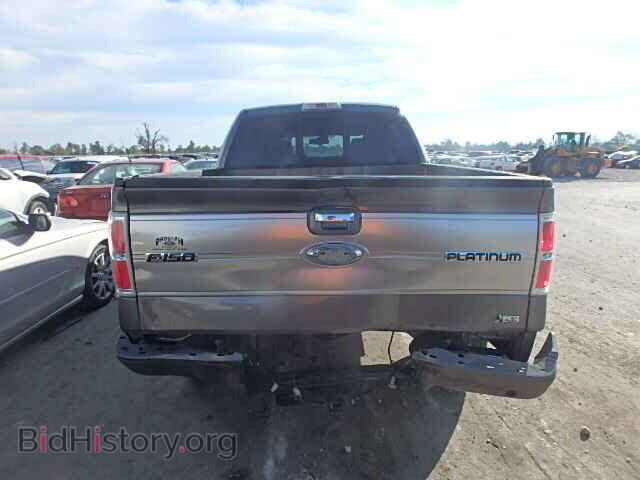 2010 FORD F150 - VIN: 1FTFW1EV4AFB04833 - Фото 10