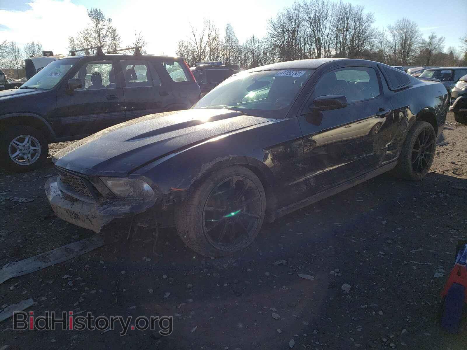 2011 FORD MUSTANG - VIN: 1ZVBP8AM7B5143390 - Фото 2