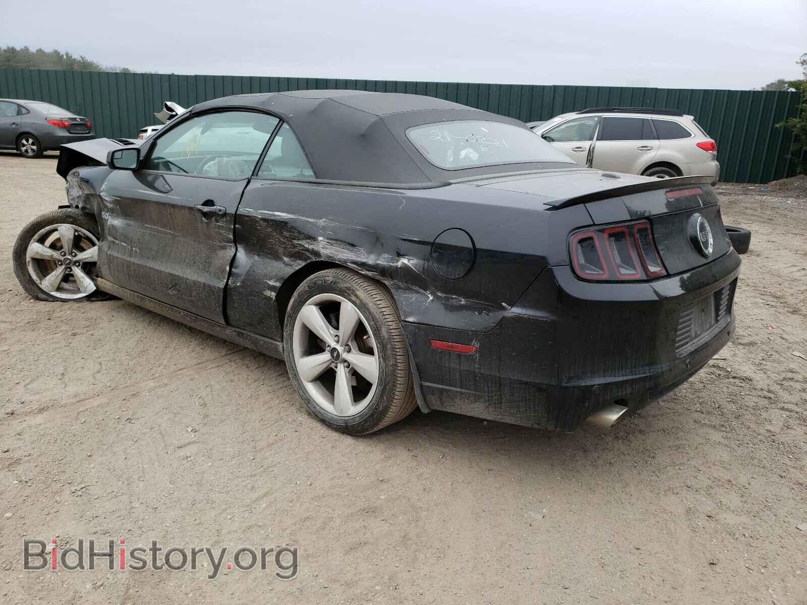 2014 FORD MUSTANG - VIN: 1ZVBP8FF4E5226029 - Фото 3