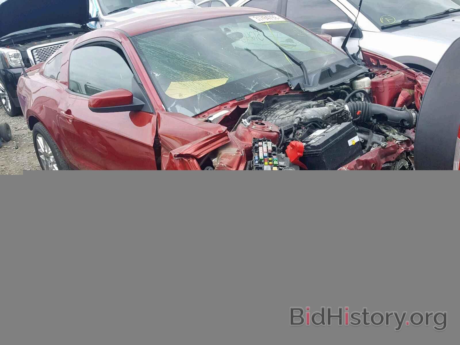Photo 1ZVBP8AM0E5247854 - FORD MUSTANG 2014