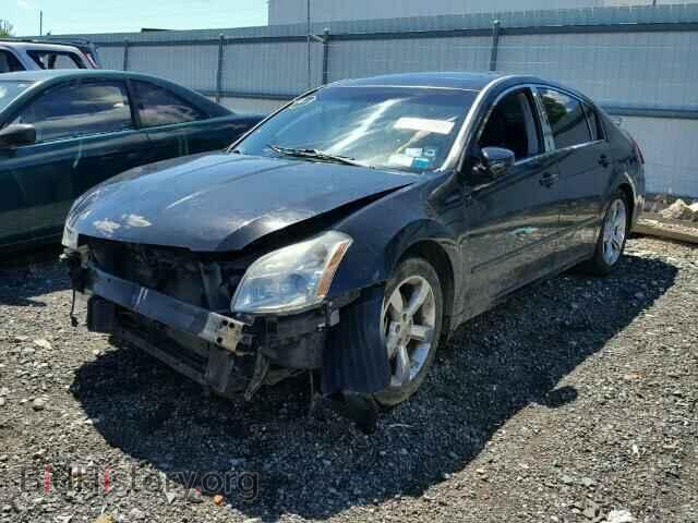 2008 NISSAN MAXIMA - VIN: 1N4BA41E68C800017 - Фото 2