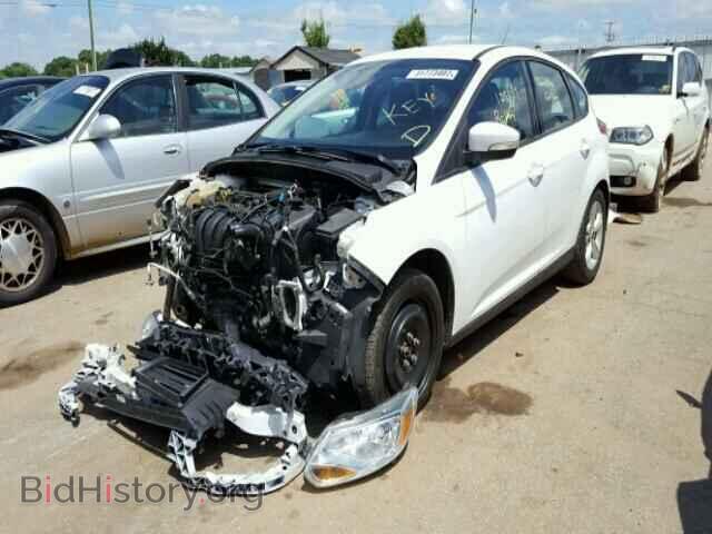 2013 FORD FOCUS - VIN: 1FADP3K21DL104049 - Фото 2