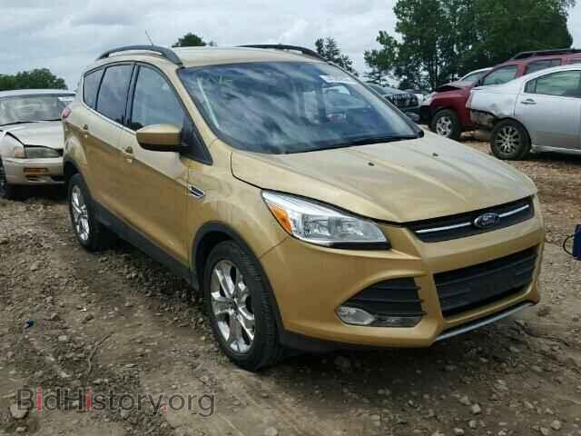 Фотография 1FMCU0GX0EUC81362 - FORD ESCAPE 2014