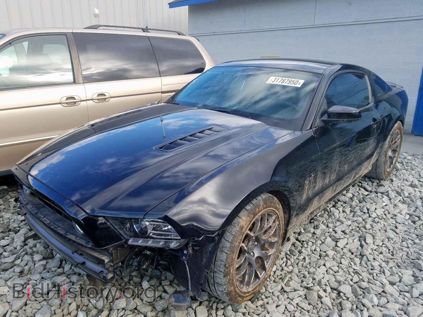 2014 FORD MUSTANG - VIN: 1ZVBP8CF9E5253764 - Фото 2