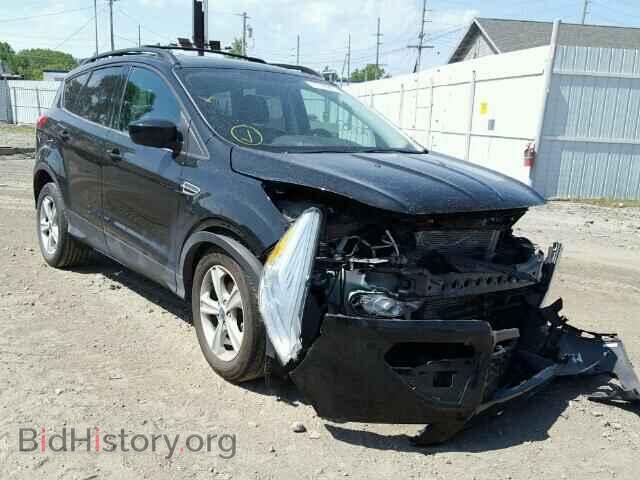 Photo 1FMCU0GX1DUA16643 - FORD ESCAPE 2013