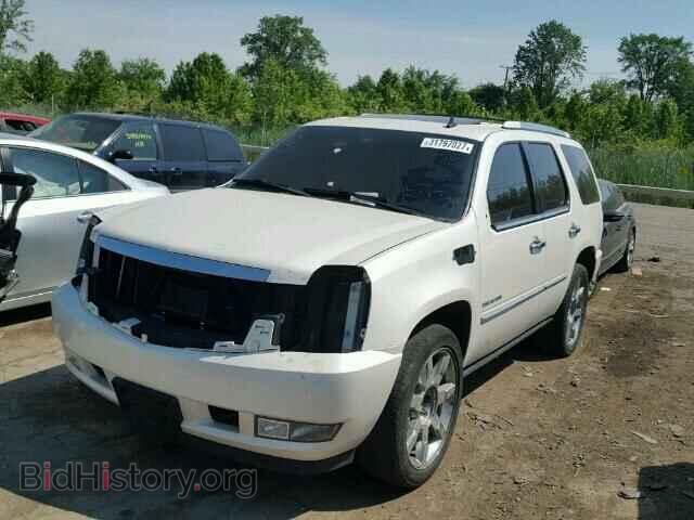 2010 CADILLAC ESCALADE - VIN: 1GYUKCEF6AR175192 - Фото 2