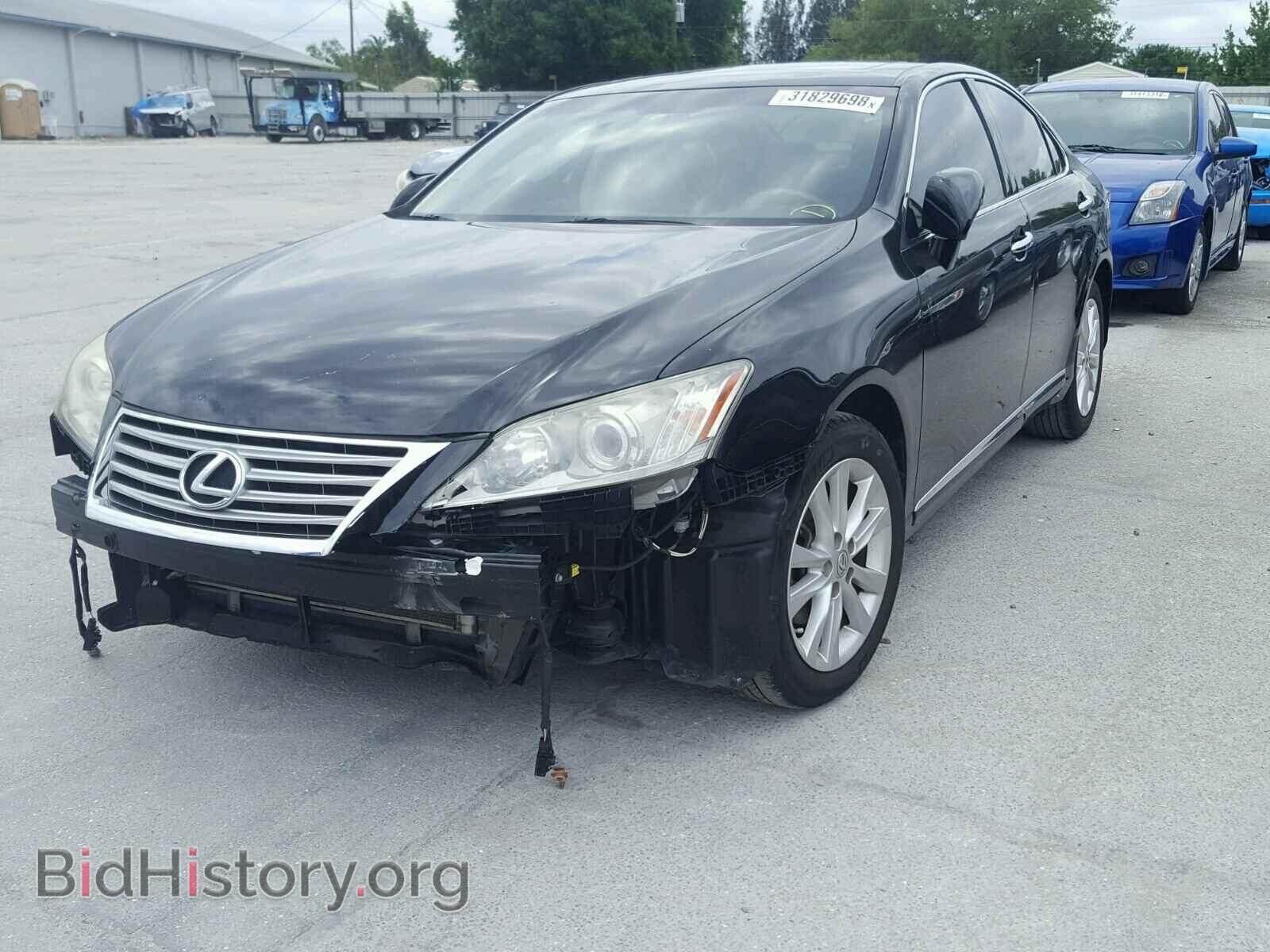 2011 LEXUS ES350 - VIN: JTHBK1EG7B2428894 - Фото 2