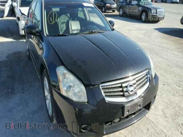 Photo 1N4BA41E18C814939 - NISSAN MAXIMA 2008