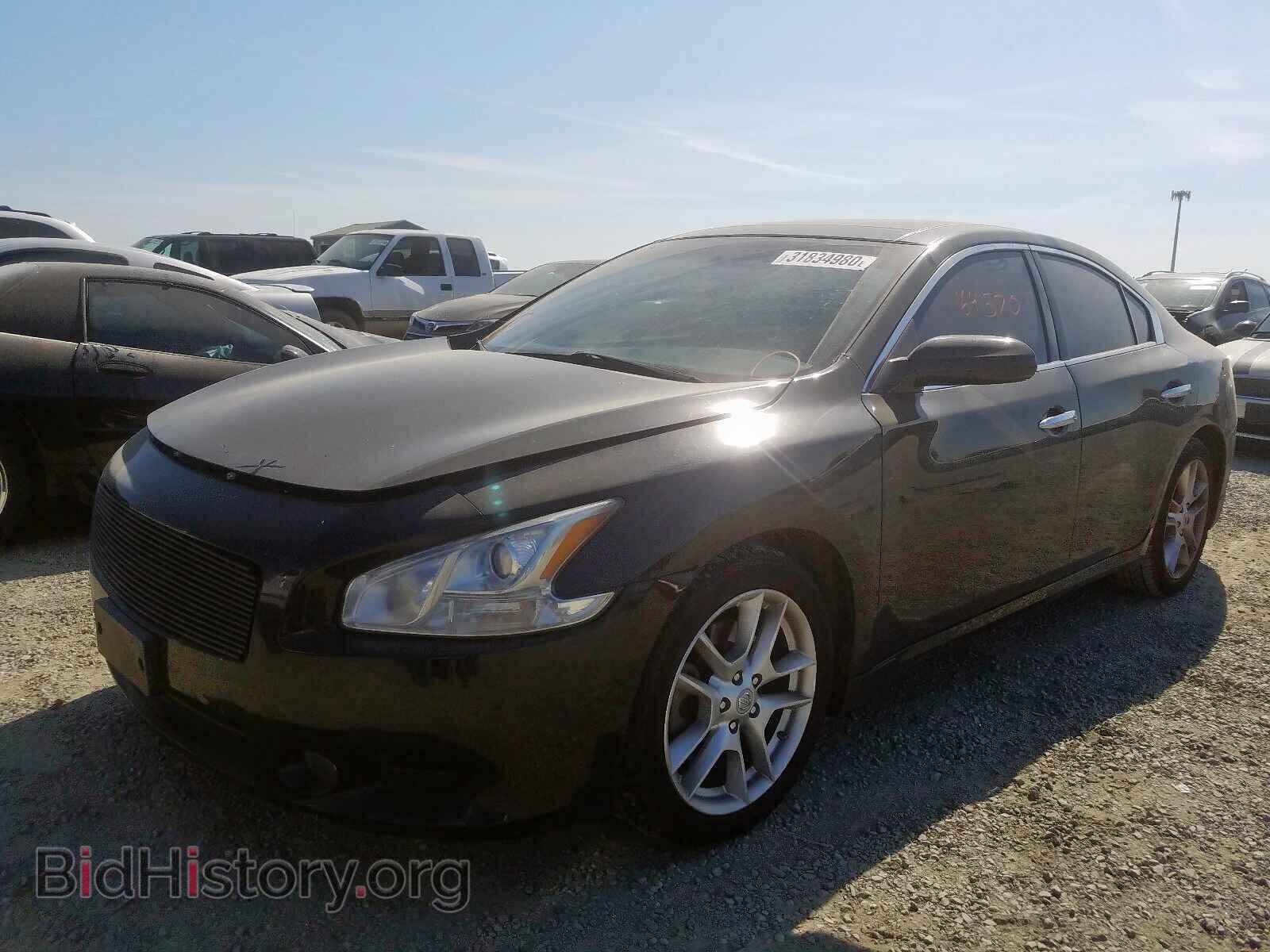 2009 NISSAN MAXIMA - VIN: 1N4AA51E29C816654 - Фото 2