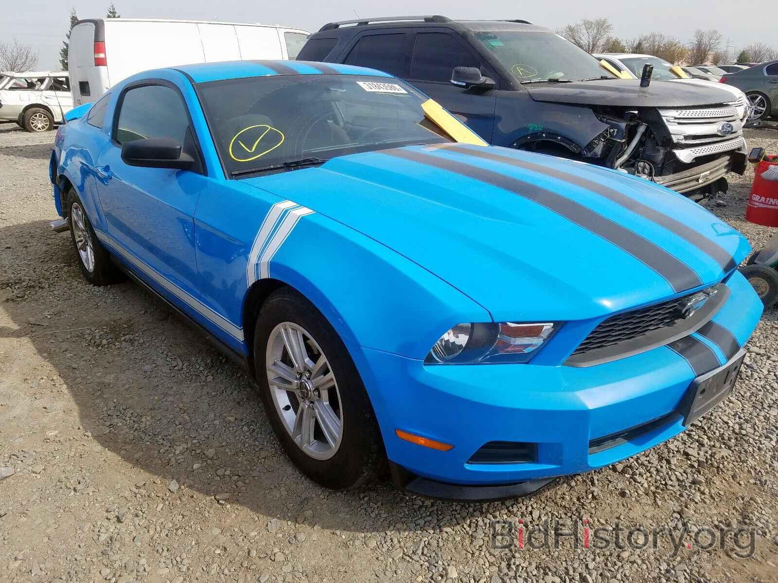 Фотография 1ZVBP8AM6B5142232 - FORD MUSTANG 2011