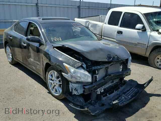 Фотография 1N4AA5APXBC857069 - NISSAN MAXIMA 2011