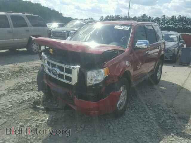 2011 FORD ESCAPE - VIN: 1FMCU0DG9BKA04589 - Фото 2