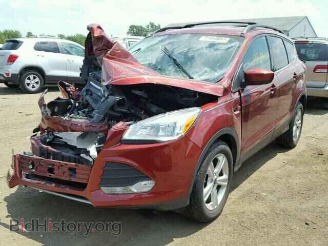 2014 FORD ESCAPE - VIN: 1FMCU0GX8EUC36489 - Photo 2