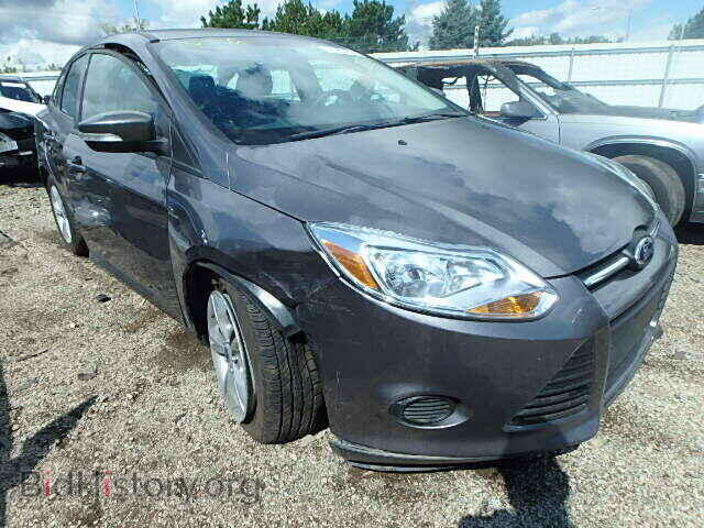 Photo 1FADP3F25DL199399 - FORD FOCUS 2013