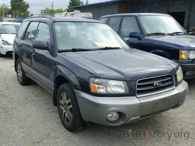 Photo JF1SG67605H714209 - SUBARU FORESTER 2005