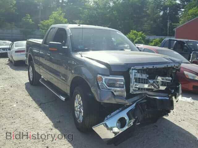 Photo 1FTFX1ET8EFA80800 - FORD F150 2014