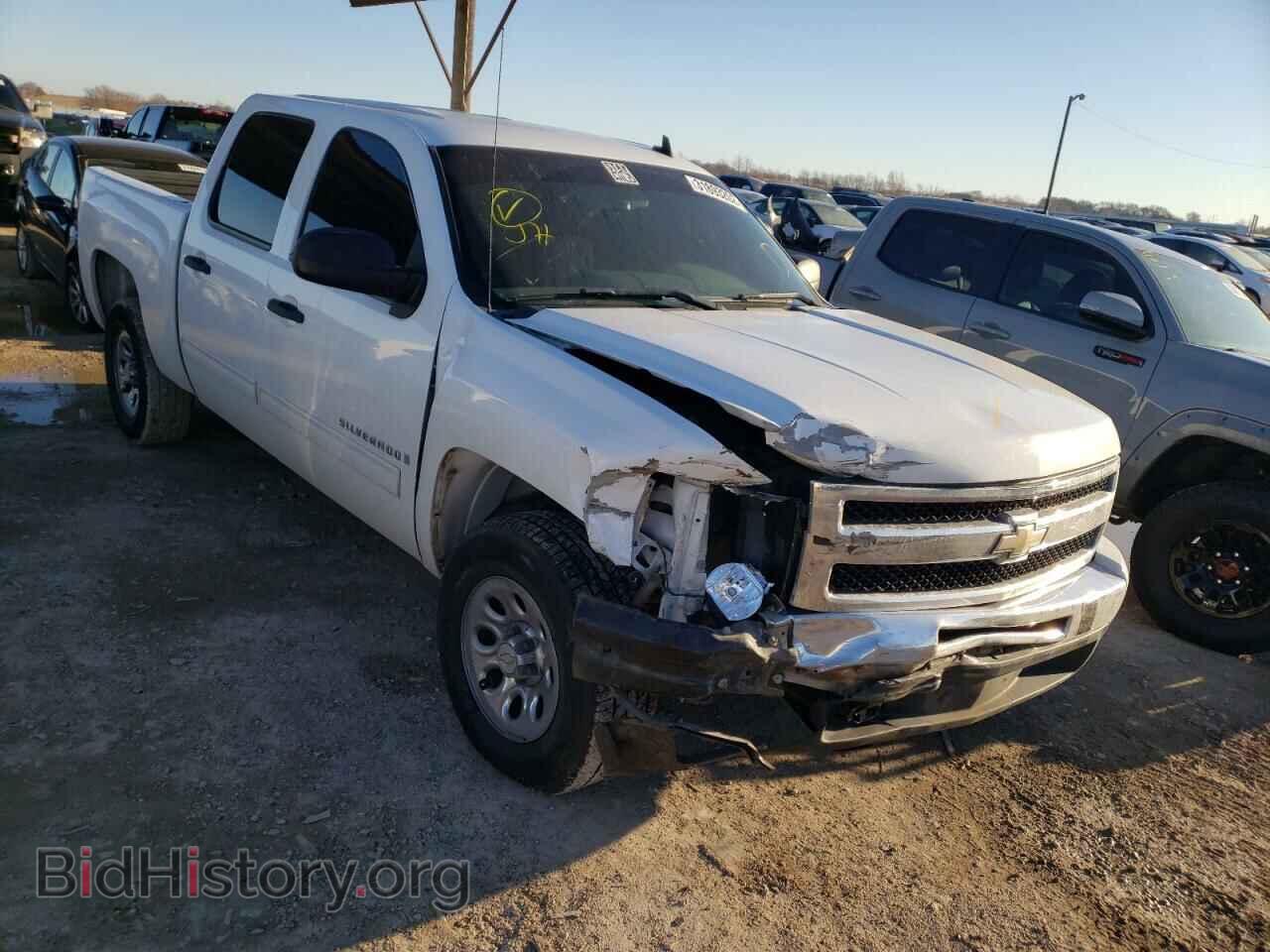 Photo 3GCEC13CX9G192495 - CHEVROLET SILVERADO 2009