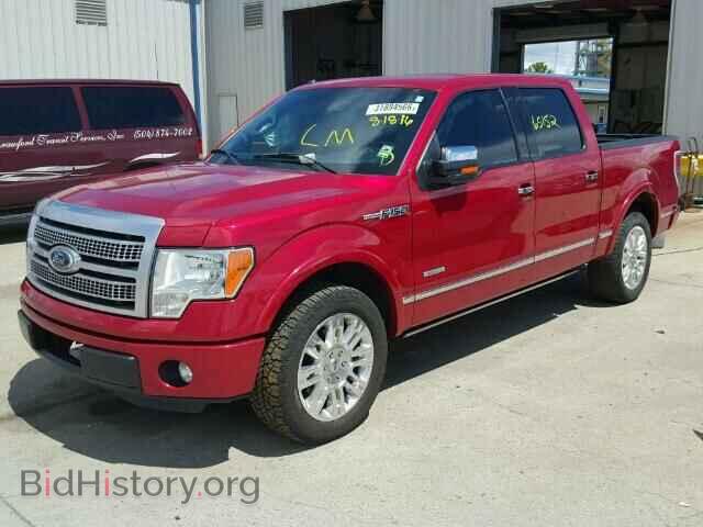 2011 FORD F150 - VIN: 1FTFW1CT3BFB15972 - Фото 2