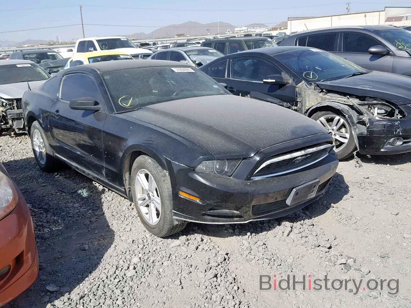 Photo 1ZVBP8AM3D5259219 - FORD MUSTANG 2013