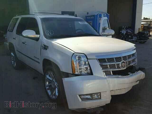 Фотография 1GYS4DEF3BR401066 - CADILLAC ESCALADE 2011