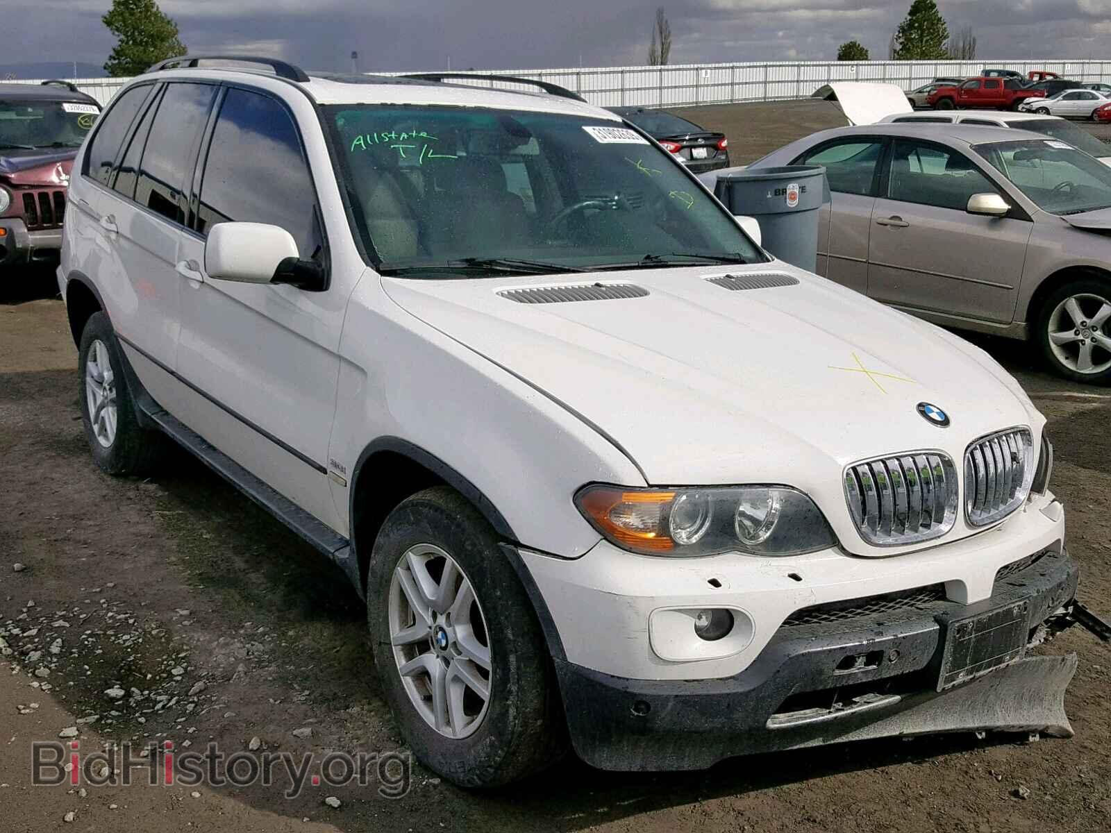 Photo 5UXFA13596LY33645 - BMW X5 2006