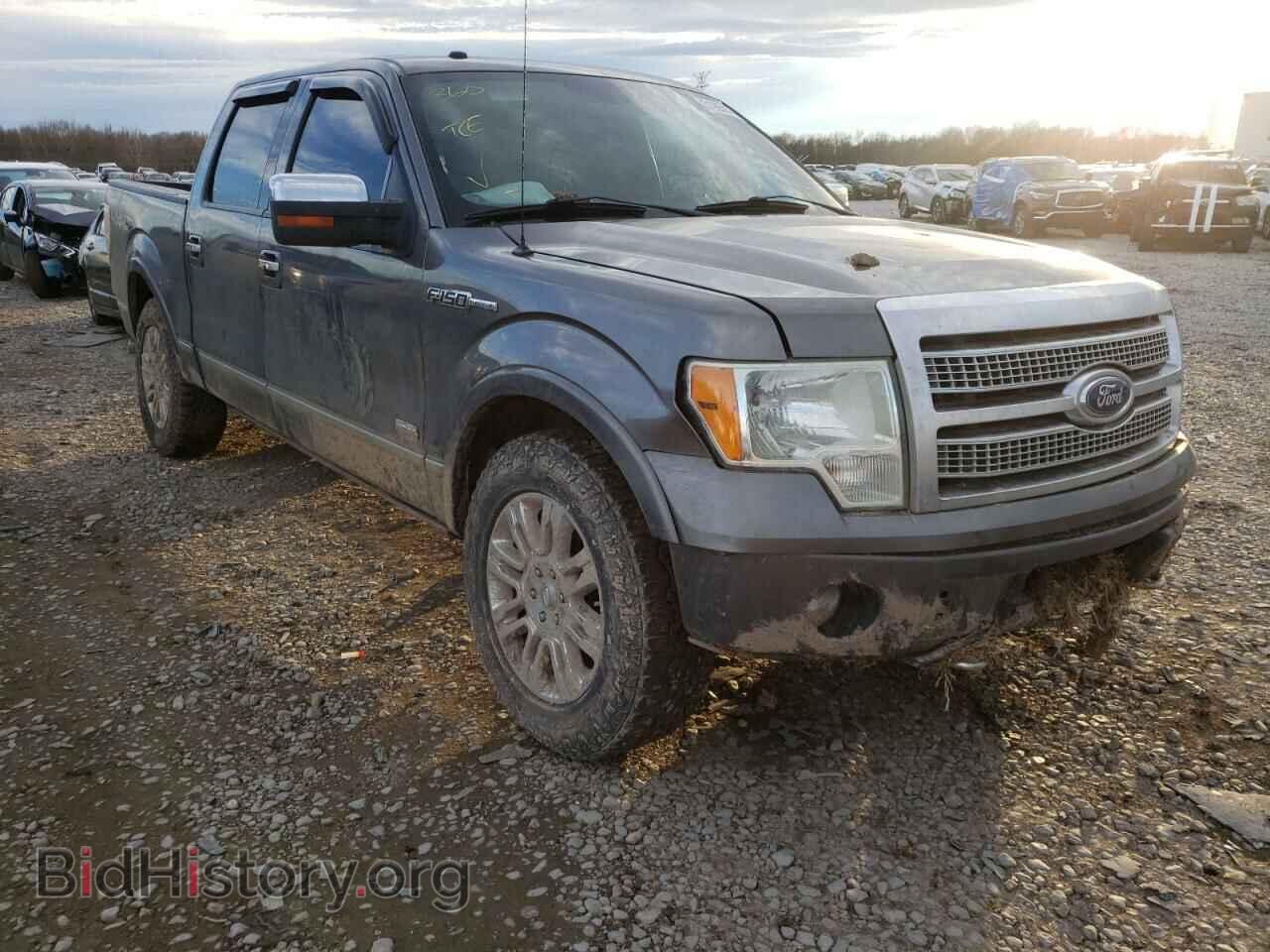 Photo 1FTFW1EF8BFB08037 - FORD F-150 2011
