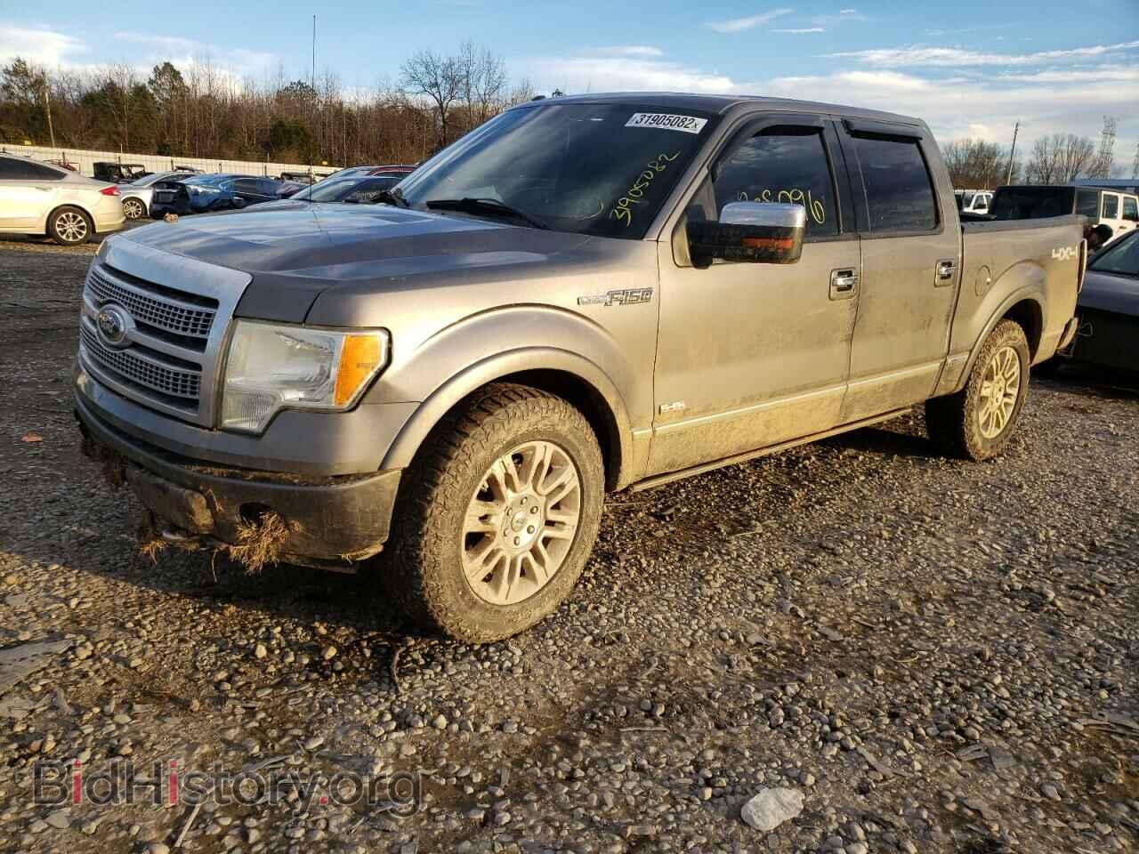 2011 FORD F-150 - VIN: 1FTFW1EF8BFB08037 - Фото 2