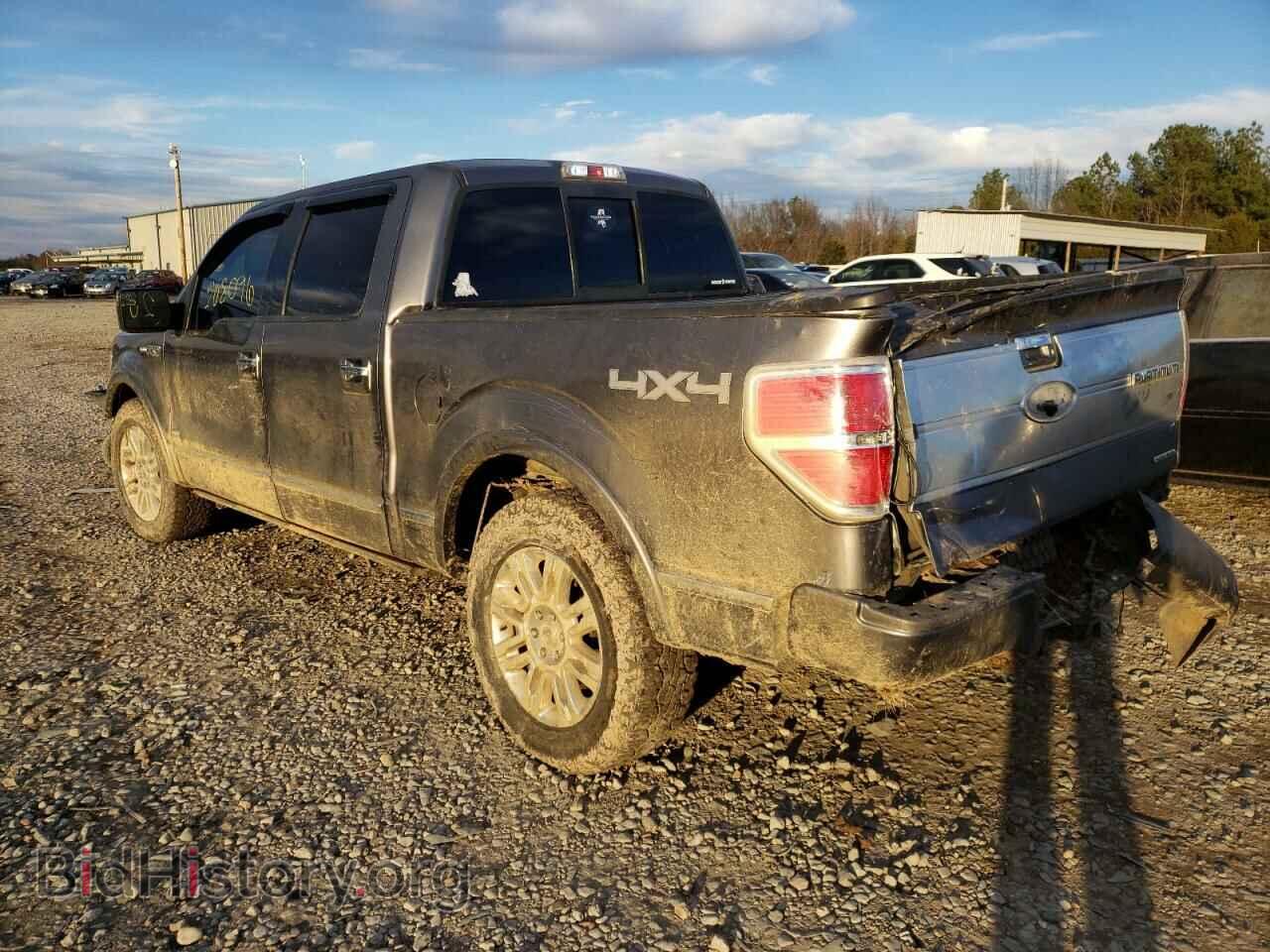 2011 FORD F-150 - VIN: 1FTFW1EF8BFB08037 - Фото 3