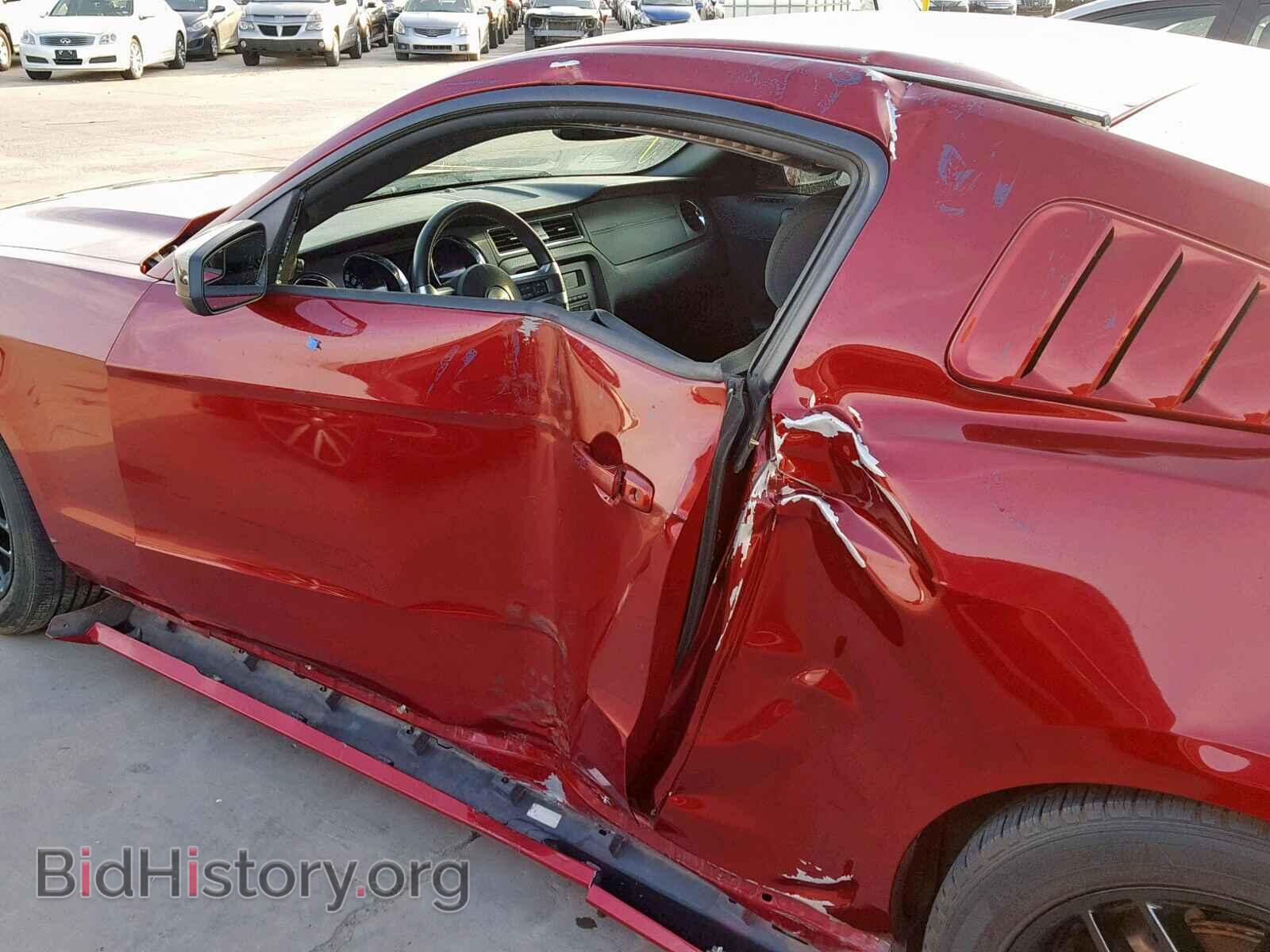 2014 FORD MUSTANG - VIN: 1ZVBP8AM1E5250021 - Фото 9