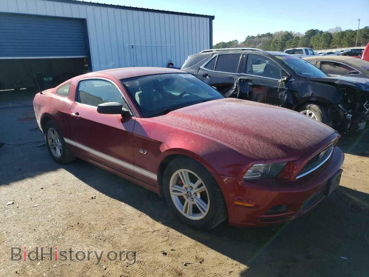 Фотография 1ZVBP8AM4E5314049 - FORD MUSTANG 2014