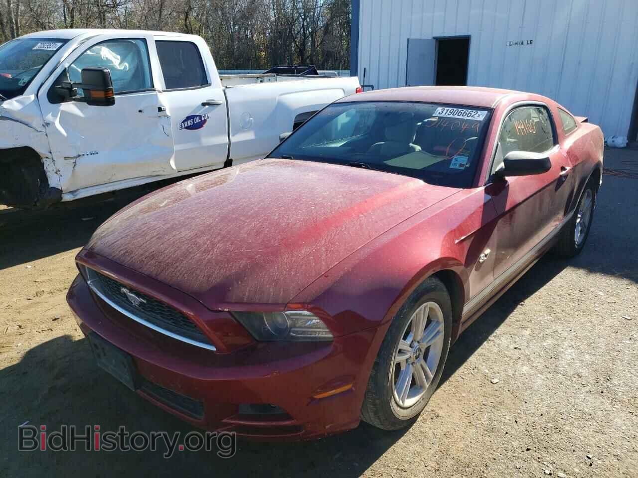 2014 FORD MUSTANG - VIN: 1ZVBP8AM4E5314049 - Photo 2