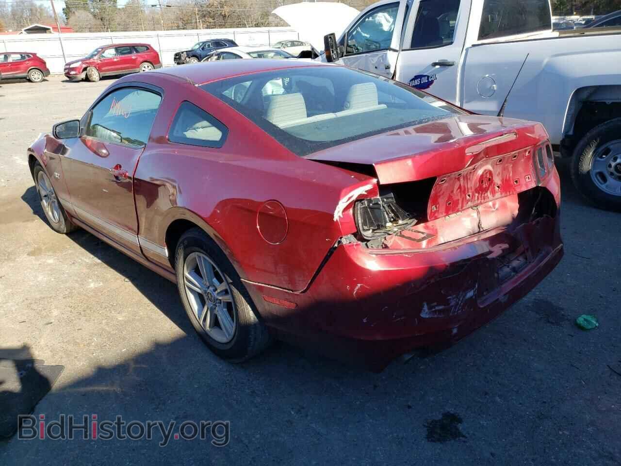 2014 FORD MUSTANG - VIN: 1ZVBP8AM4E5314049 - Photo 3