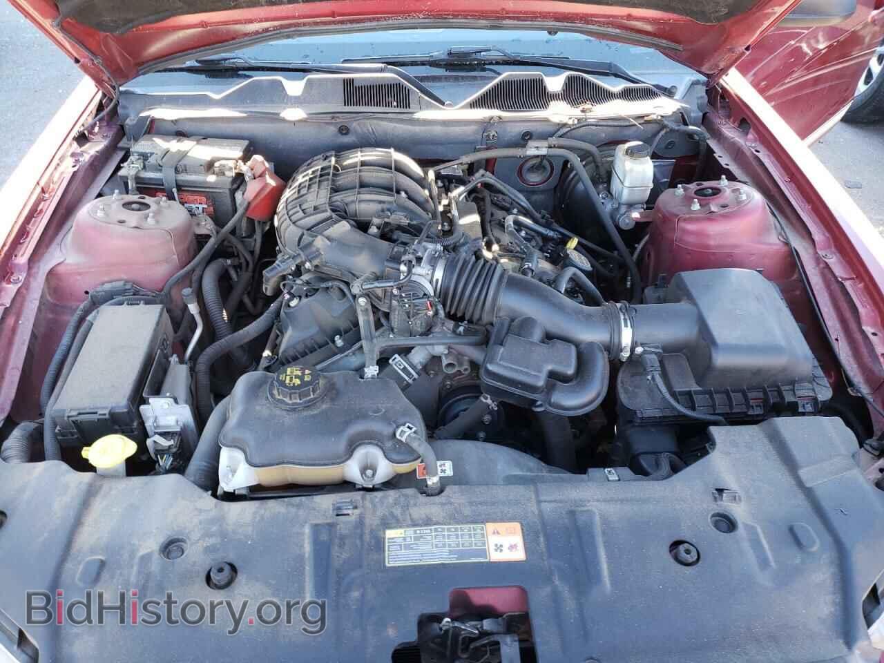 2014 FORD MUSTANG - VIN: 1ZVBP8AM4E5314049 - Photo 7