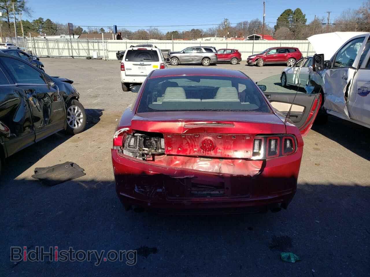 2014 FORD MUSTANG - VIN: 1ZVBP8AM4E5314049 - Photo 9