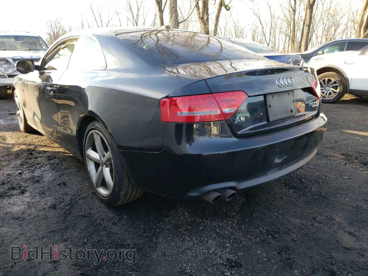 2010 AUDI A5 - VIN: WAUVFAFR5AA004067 - Фото 3