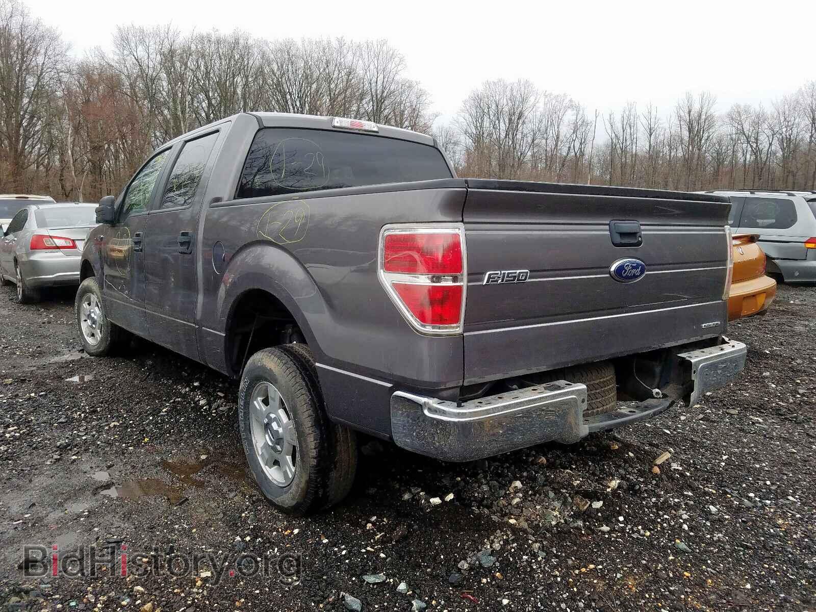 2013 FORD F150 - VIN: 1FTFW1CF4DKD09446 - Фото 3